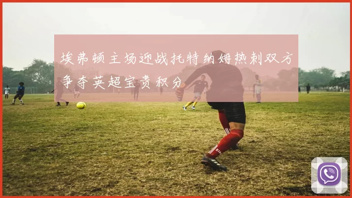 埃弗顿主场迎战托特纳姆热刺双方争夺英超宝贵积分