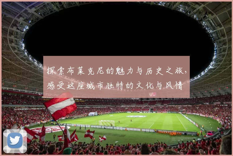 探索布莱克尼的魅力与历史之旅，感受这座城市独特的文化与风情